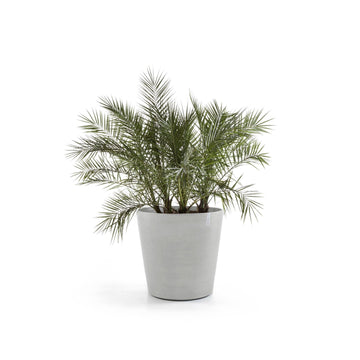 ECOPOTS© Amsterdam Wheels 60 cm